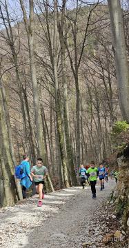 28. gorski tek k Svetemu Primožu (6)